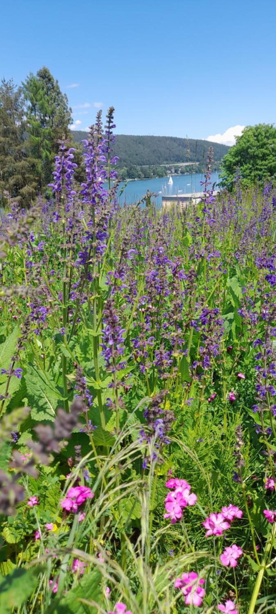 Glanz Und Gloria Velden! Woerthersee In 5 Min Zu Fuss Erreichbar! Velden am Woerthersee Ngoại thất bức ảnh
